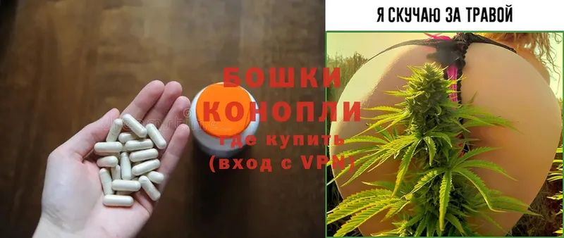 Конопля план  купить закладку  Киселёвск 